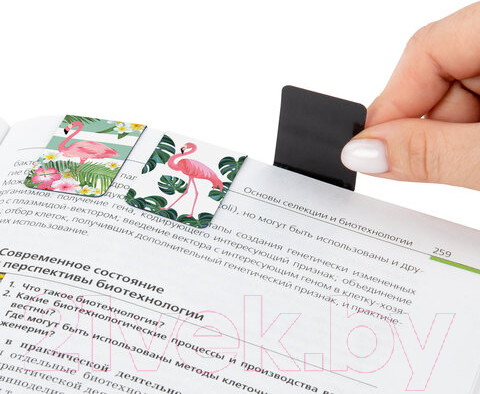 Изображение товара Набор закладок Brauberg Flamingo / 113165 (6шт)