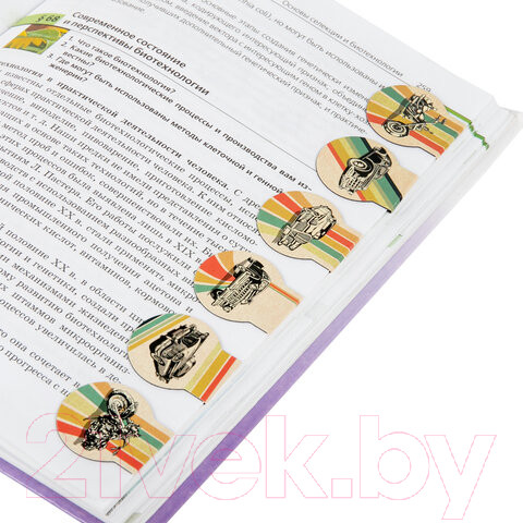 Изображение товара Набор закладок Brauberg Auto / 113167 (6шт)