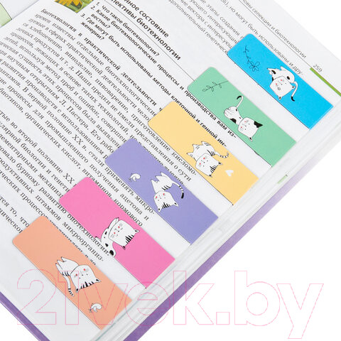 Изображение товара Набор закладок Brauberg Cats / 113159 (6шт)