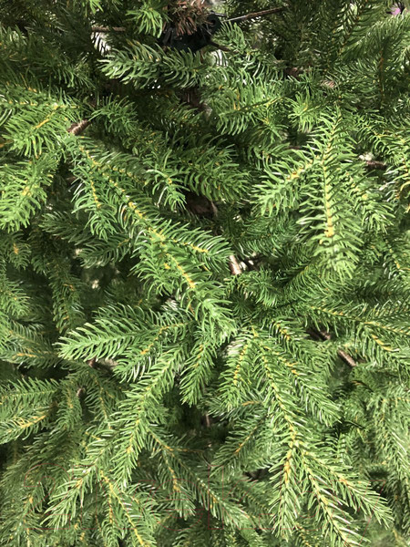 Изображение товара Ель искусственная GrandSiti Парма 270 / 101-096