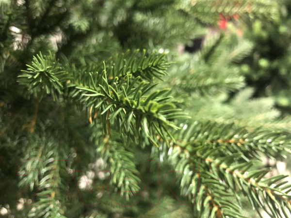 Изображение товара Ель искусственная GrandSiti Парма 270 / 101-096