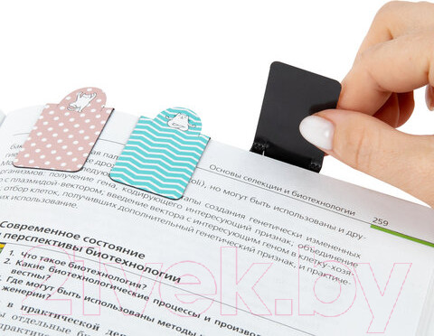 Изображение товара Набор закладок Brauberg Cat Yoga / 113162 (6шт)