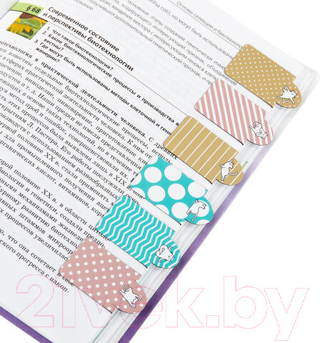 Изображение товара Набор закладок Brauberg Cat Yoga / 113162 (6шт)