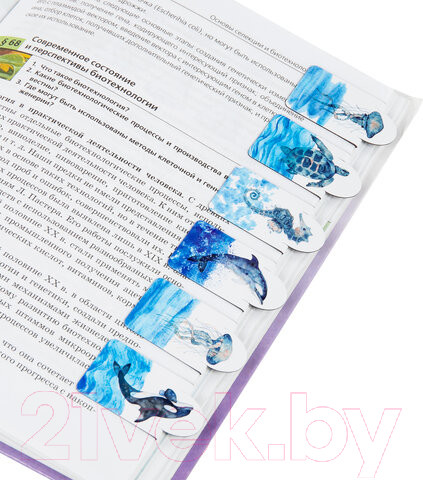 Изображение товара Набор закладок Brauberg Marine Life / 113163 (6шт)