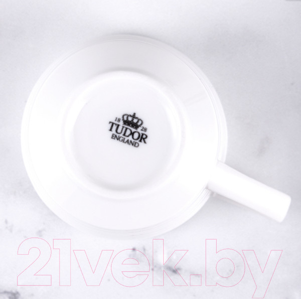 Изображение товара Чашка Tudor England TU2107