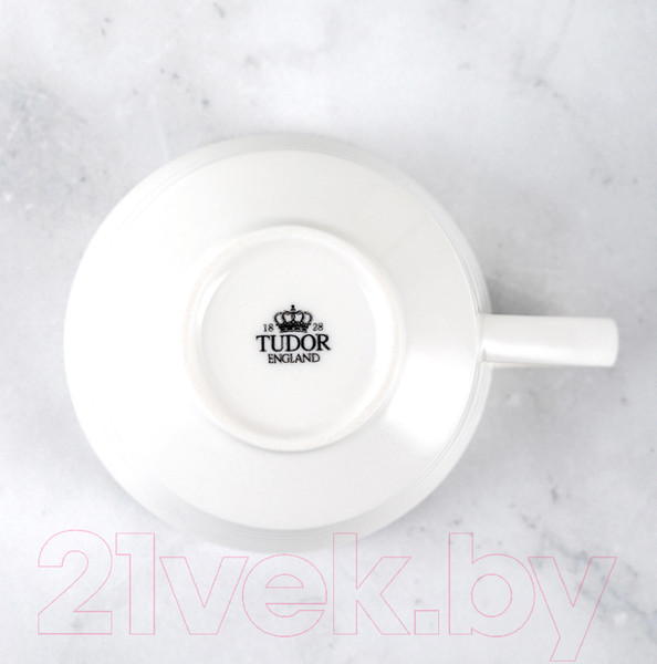Изображение товара Чашка Tudor England TU2109
