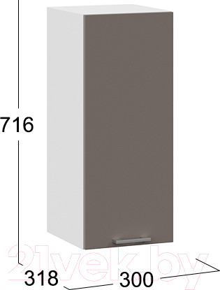 Изображение товара Шкаф навесной для кухни ТриЯ Габриэлла 1В3 (белый/муссон)