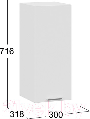 Изображение товара Шкаф навесной для кухни ТриЯ Габриэлла 1В3 (белый/сноу)