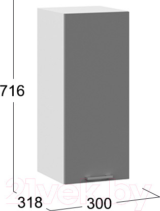 Изображение товара Шкаф навесной для кухни ТриЯ Габриэлла 1В3 (белый/титан)