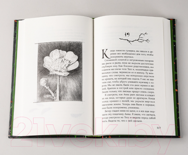 Изображение товара Книга Альпина Ведьма (Хокинс Ф.)