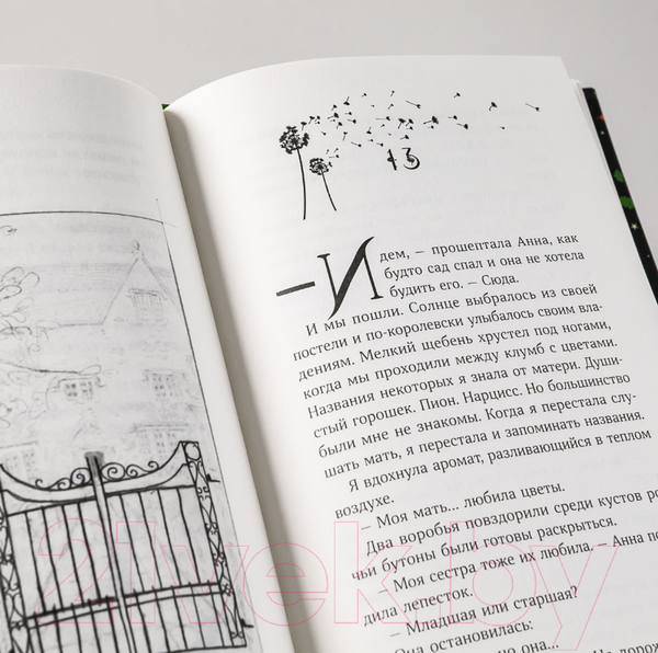 Изображение товара Книга Альпина Ведьма (Хокинс Ф.)