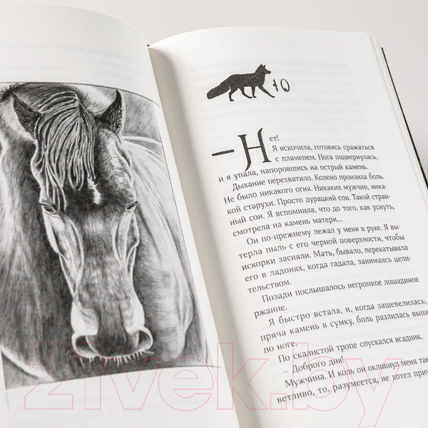 Изображение товара Книга Альпина Ведьма (Хокинс Ф.)