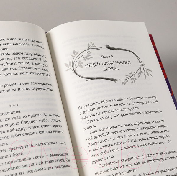 Изображение товара Книга Альпина Девочка в деревянных доспехах (Мейсон К.)