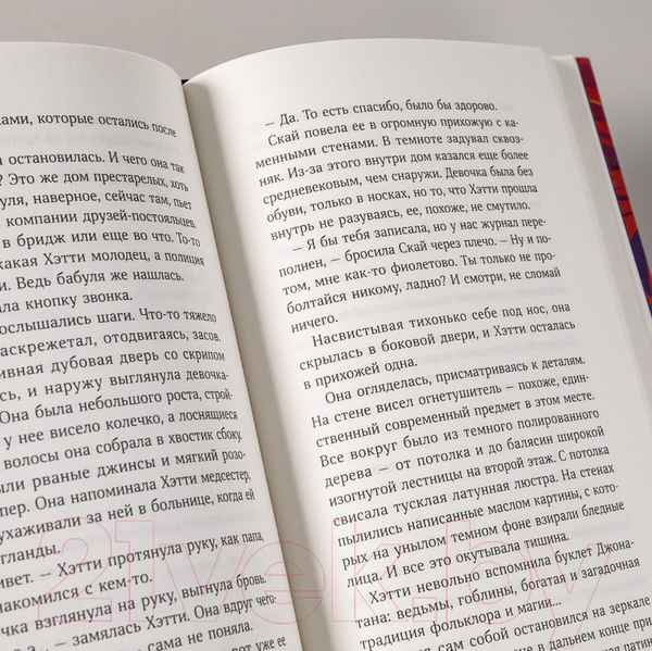 Изображение товара Книга Альпина Девочка в деревянных доспехах (Мейсон К.)