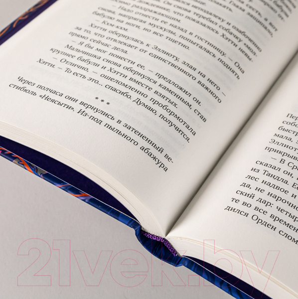 Изображение товара Книга Альпина Девочка в деревянных доспехах (Мейсон К.)