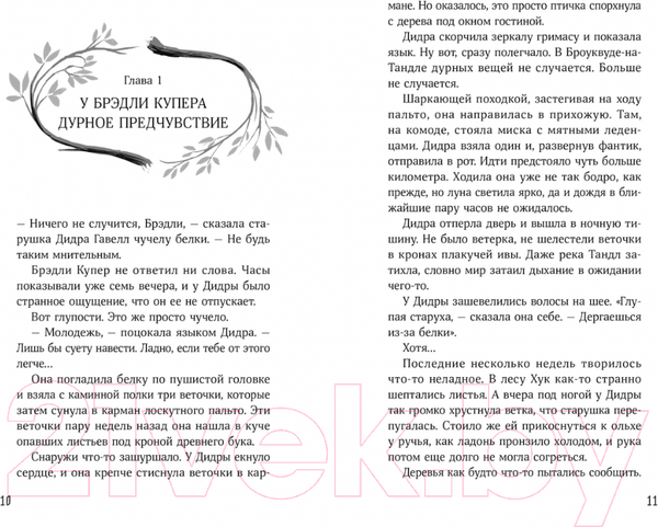 Изображение товара Книга Альпина Девочка в деревянных доспехах (Мейсон К.)