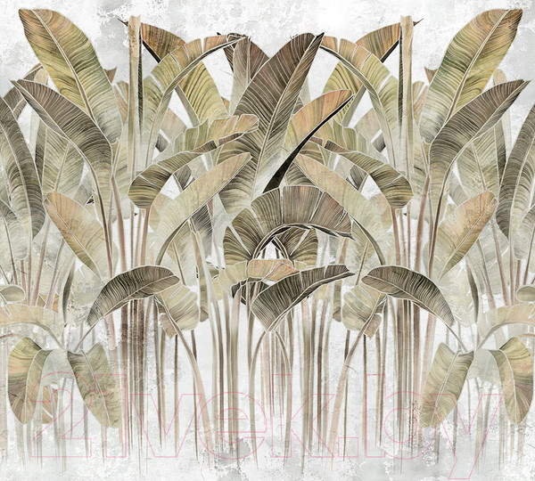 Изображение товара Фотообои листовые Vimala Кавендиш 2 (270x300)