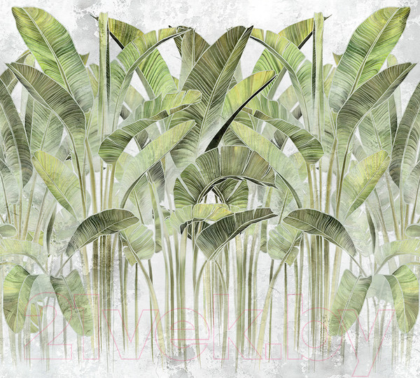 Изображение товара Фотообои листовые Vimala Кавендиш 5 (270x300)