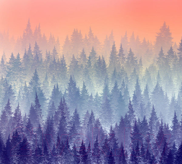 Изображение товара Фотообои листовые Vimala Красочный лес (270x300)