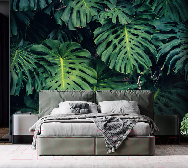 Изображение товара Фотообои листовые Vimala Листья монстеры (270x300)