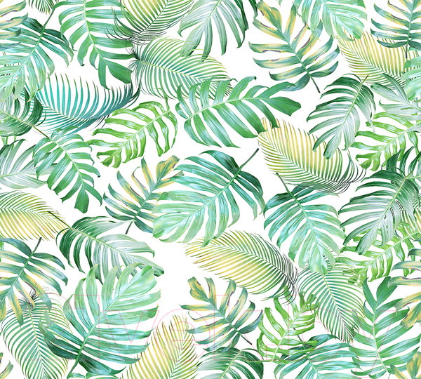 Изображение товара Фотообои листовые Vimala Монстера патерн (270x300)