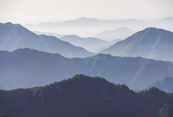 Изображение товара Фотообои листовые Vimala Горный лес (270x400)