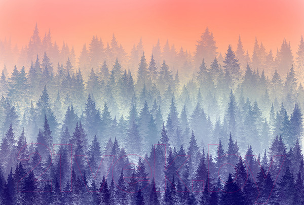 Изображение товара Фотообои листовые Vimala Красочный лес (270x400)