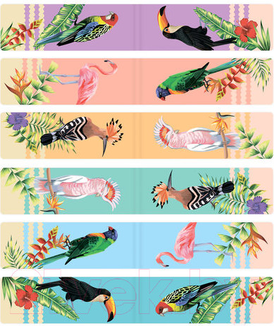 Изображение товара Набор закладок Brauberg Tropics / 113172 (12шт)