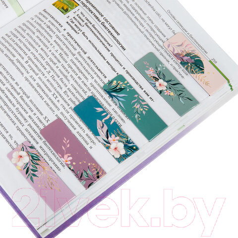 Изображение товара Набор закладок Brauberg Tropics / 113172 (12шт)