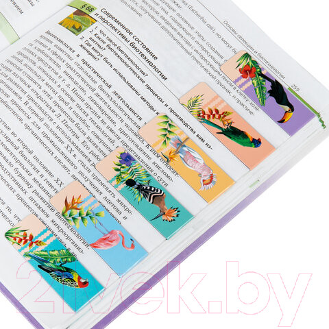 Изображение товара Набор закладок Brauberg Tropics / 113172 (12шт)