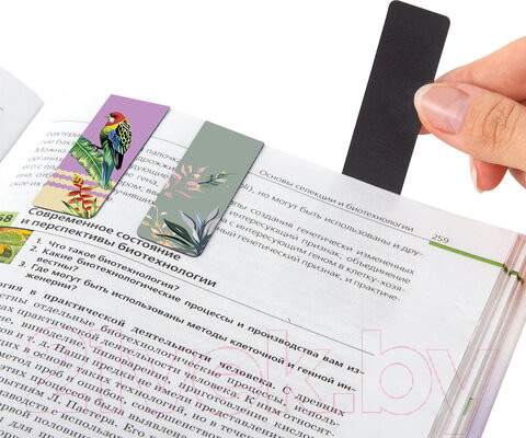 Изображение товара Набор закладок Brauberg Tropics / 113172 (12шт)