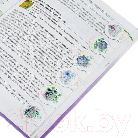 Изображение товара Набор закладок Brauberg Flowers / 113168 (6шт)