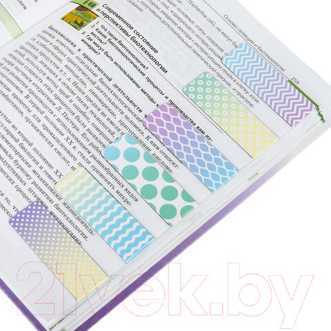 Изображение товара Набор закладок Brauberg Gradient / 113170 (12шт)