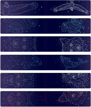 Изображение товара Набор закладок Brauberg Galaxy / 113171 (12шт)