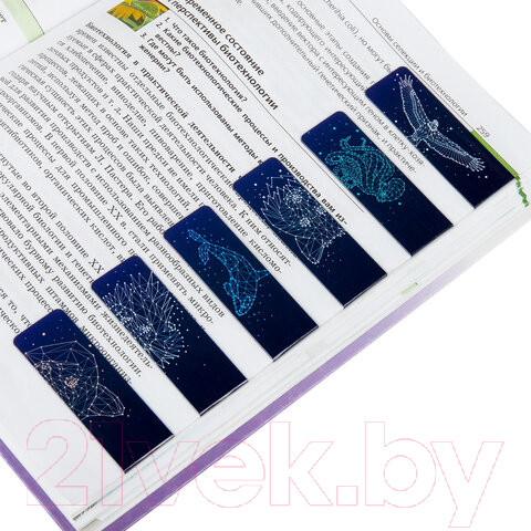 Изображение товара Набор закладок Brauberg Galaxy / 113171 (12шт)