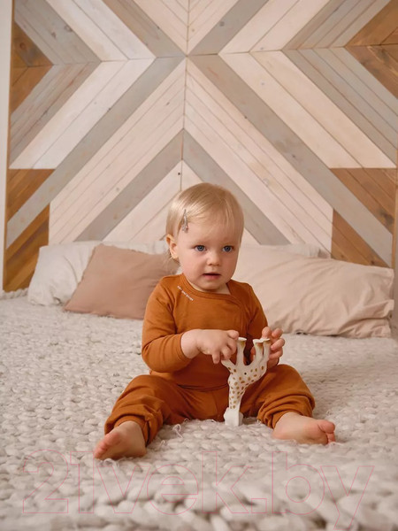 Изображение товара Распашонка Rant Hugs And Kisses / 5372/1-68 (Curry Brown, р.68)