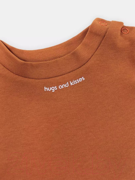 Изображение товара Футболка для малышей Rant Hugs And Kisses / 4672/1-68 (Curry Brown, р.68)