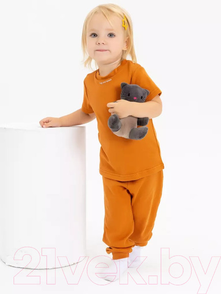 Изображение товара Футболка для малышей Rant Hugs And Kisses / 4672/1-74 (Curry Brown, р.74)