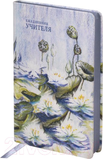 Изображение товара Ежедневник Brauberg Учителя / 112708 (144л, гармония)