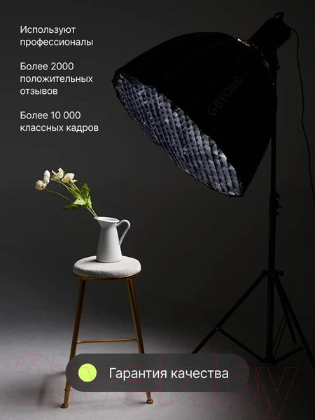 Изображение товара Софтбокс RayLab RL-SQ120