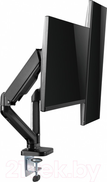Изображение товара Кронштейн для монитора Ergosmart Power Black DBL