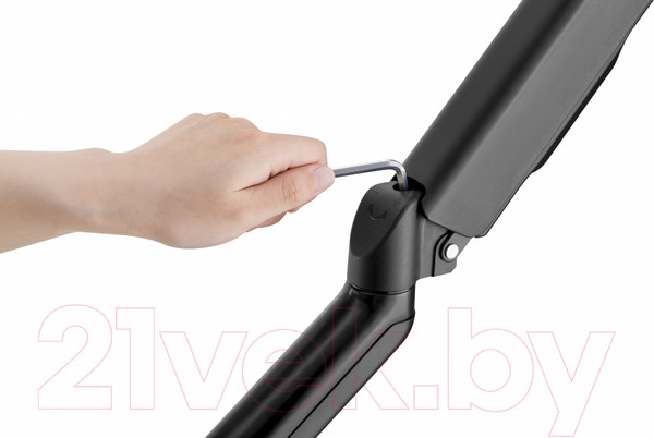 Изображение товара Кронштейн для монитора Ergosmart Power Black DBL