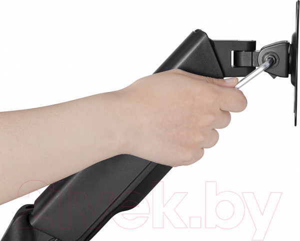 Изображение товара Кронштейн для монитора Ergosmart Power Black DBL