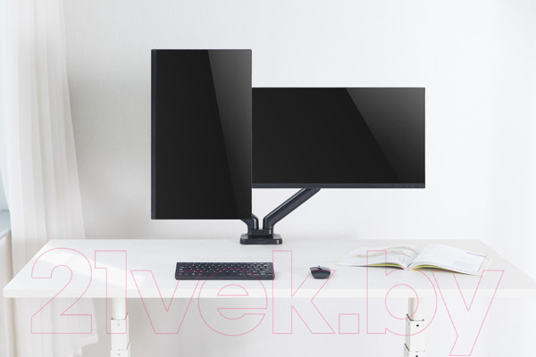 Изображение товара Кронштейн для монитора Ergosmart Power Black DBL