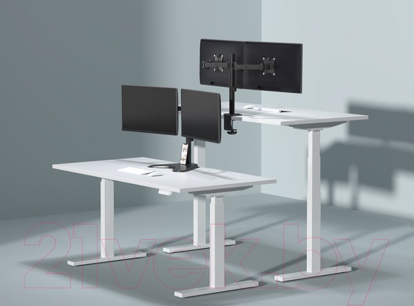 Изображение товара Кронштейн для монитора Ergosmart Twin II