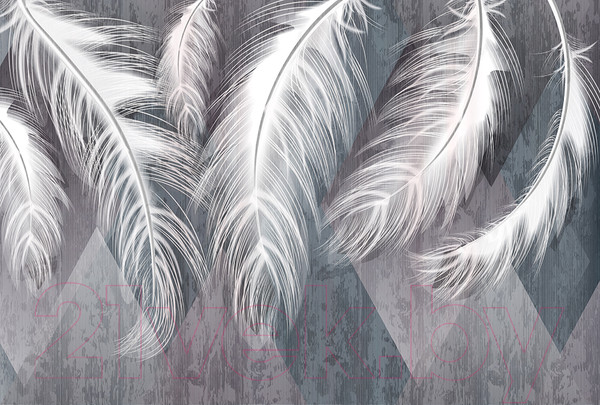 Изображение товара Фотообои листовые Vimala Перья геометрия (270x400)