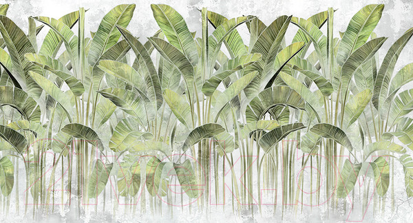 Изображение товара Фотообои листовые Vimala Кавендиш 5 (270x500)