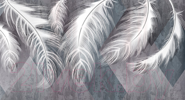 Изображение товара Фотообои листовые Vimala Перья геометрия (270x500)