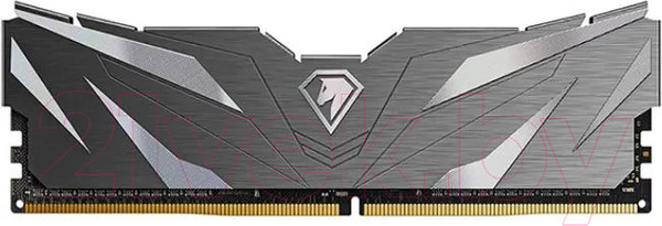 Изображение товара Оперативная память DDR4 Netac NTSWD4P32SP-16K