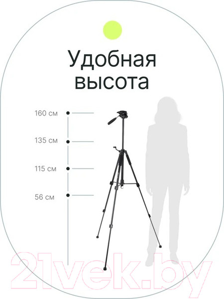 Изображение товара Штатив RayLab Travel 63 (с головой)